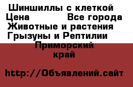 Шиншиллы с клеткой › Цена ­ 8 000 - Все города Животные и растения » Грызуны и Рептилии   . Приморский край